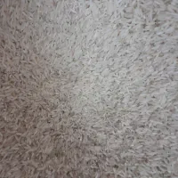 برنج ضیغمی رودبار