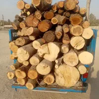 خدمات جمع آوری چوب باغ