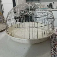 قفس کوچک|لوازم جانبی حیوانات|قم, پردیسان|دیوار