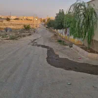 زمین ۱۲۰۰ متری|فروش زمین و ملک کلنگی|محمدشهر, علی آباد گونه|دیوار