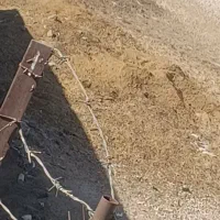 فروش کود گوسفند