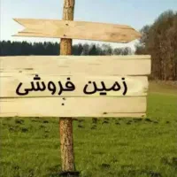 زمین ده چنارکوچه امام علی 4(کوچه روبروی پمپ بنزین)