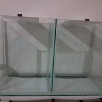 ماهی و اکواریوم