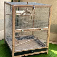 قفس طوطی پرنده عروس هلندی