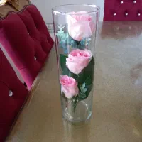 سبد مناسب برای میوه وتنقلات|ظروف سرو و پذیرایی|تهران, اکباتان|دیوار