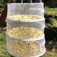 توری میوه خشکن ارسال رایگان