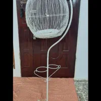 یک جفت قناری  با قفس تزیینی|پرنده|کرمان, |دیوار