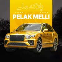 واردات اتومبیل لوکس با موتور 3000 به بالا،پلاک ملی