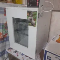 دستگاه جوجه کشی تمام اتوماتیک|لوازم جانبی حیوانات|شیراز, بهارستان|دیوار