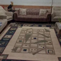 قالی ۱۲ متری|فرش|مسجد سلیمان, |دیوار