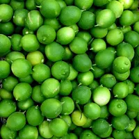 آبلیمو لیتری 75