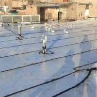 ایزوگام و قیرگونی محمد|خدمات پیشه و مهارت|بیرجند, |دیوار