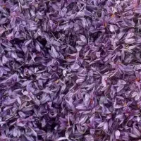 زعفران تربت