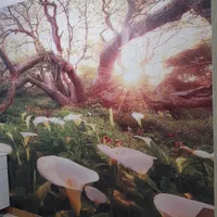 کاغذدیواری ۱۴ماهه ویژه(فرهنگیان و بازنشستگان و چک)