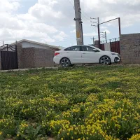باغ ویلا در نعمت الله صوفیان باغشهر