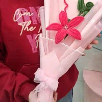 گل ربانی و مخملی|گل مصنوعی|ابهر, |دیوار