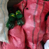 بطری نوشابه شیشه لیموناد