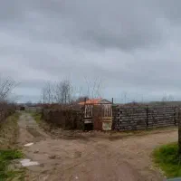 فروش فوری زمین با کاربری مسکونی|فروش زمین و ملک کلنگی|لواسان, |دیوار