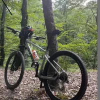 دوچرخه جاینت تالون ۲