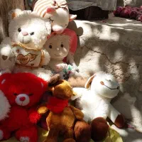 عروسک|اسباببازی بچه|قروه, |دیوار