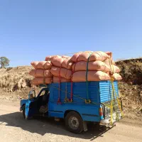 نیسان بــار کـاوه،(حمل بار باسایپا به تمام نقاط)