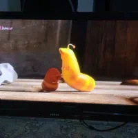 تلوزیون ال سی دی سالم
