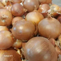 پیاز درجه یک