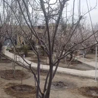 خانه-باغ-شیک-ب-متراژ-750-متر