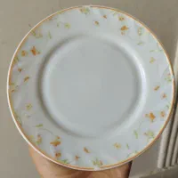 آرکوپال خارجی