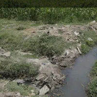 زمین شیر حصار