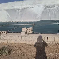 گلخانه مکانیزه و صنعتی|فروش دفتر صنعتی، کشاورزی، تجاری|تیران, |دیوار