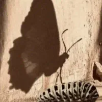 راهنمایی کنید لطفا