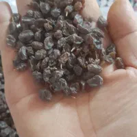 کشمش افتابی