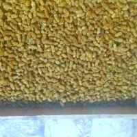 فروش توت خشک طرقبه