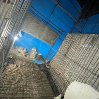 نیازمند کارگر آرماتوربندی