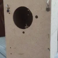 لونه فنج و طوطی برزیلی