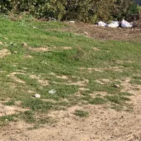 زمین-مسکونی-مزرعه-کتول