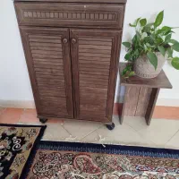 جاکفشی سالم