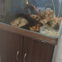 اکواریوم ماهیران کامل|ماهی|وحیدیه, |دیوار