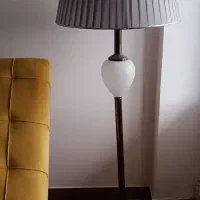آباژور سالم نو