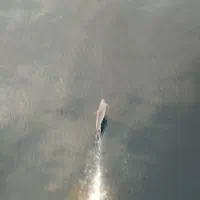 ماهی پرورشی|ماهی|کیاشهر, |دیوار