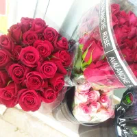 لیسین توس (پخش گل )