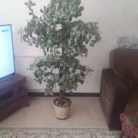 درختچه مصنوعی