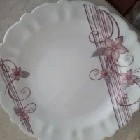 ظروف آرکوپال|ظروف سرو و پذیرایی|زنجان, |دیوار