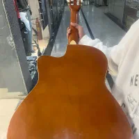 گیتار برندgrape|گیتار، بیس، امپلیفایر|پردیس, فاز ۲|دیوار