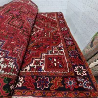 دوجفت مشابه بهم