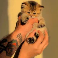 اسکای وارداتی ۲ماه نیمه