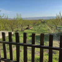 باغ جاده فرودگاه 3کیلومتری شهر|فروش دفتر صنعتی، کشاورزی، تجاری|زنجان, |دیوار