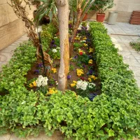 باغبانی و هرس کاری وکاشت ، سمپاشی در سراسر تهران