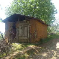 اجاره-دو-ماهه-زمین-برای-نگهداری-کندو-زنبور-عسل